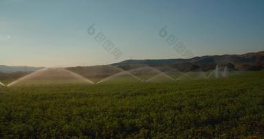 绿色场农业灌溉系统行水洒水装置